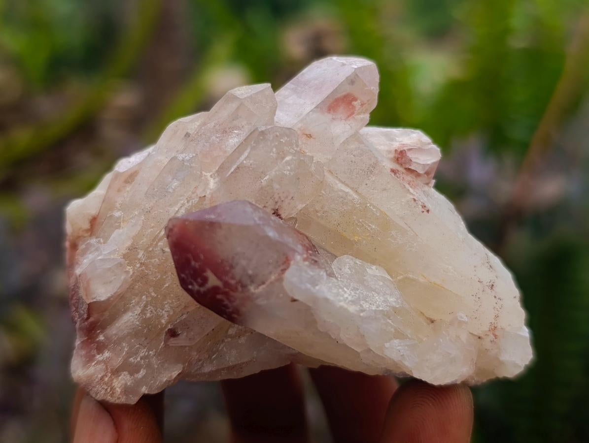 Natural Red Hematoid Quartz Crystals x 12 From Karoi, Zimbabwe - Toprock Gemstones and Minerals 