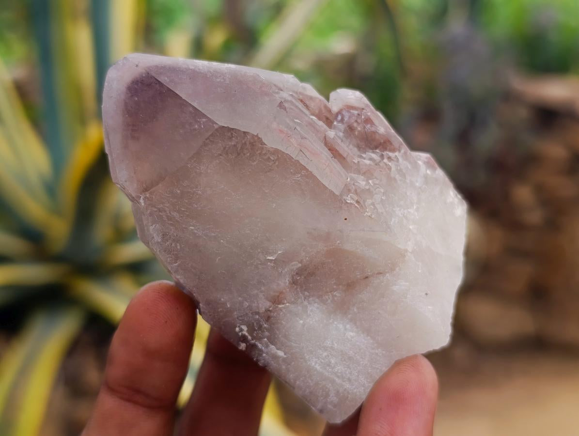 Natural Red Hematoid Quartz Crystals x 12 From Karoi, Zimbabwe - Toprock Gemstones and Minerals 