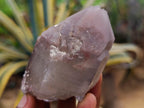 Natural Red Hematoid Quartz Crystals x 12 From Karoi, Zimbabwe - Toprock Gemstones and Minerals 