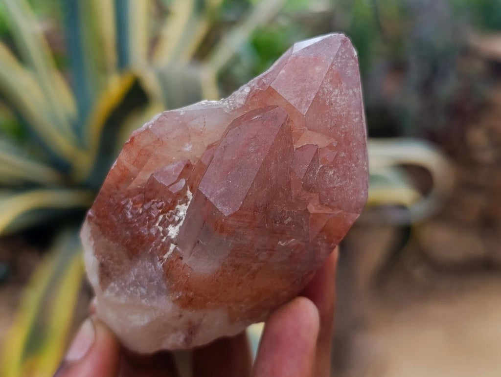 Natural Red Hematoid Quartz Crystals x 12 From Karoi, Zimbabwe - Toprock Gemstones and Minerals 