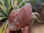 Natural Red Hematoid Quartz Crystals x 12 From Karoi, Zimbabwe - Toprock Gemstones and Minerals 