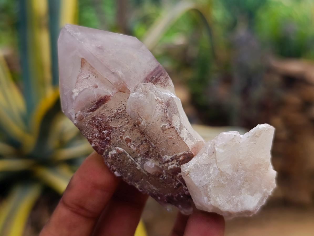 Natural Red Hematoid Quartz Crystals x 12 From Karoi, Zimbabwe - Toprock Gemstones and Minerals 