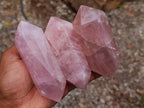 Polished Double Terminated Gemmy Rose Quartz Crystals x 12 From Madagascar - Toprock Gemstones and Minerals 