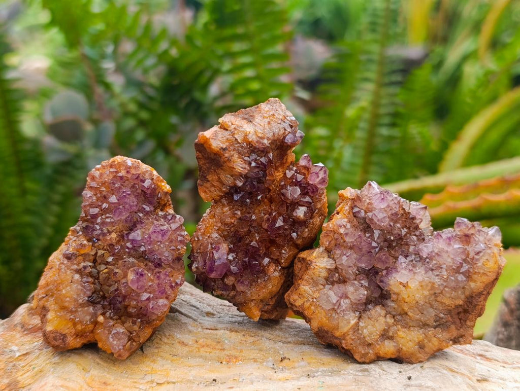 Natural Dark Purple Amethyst Quartz Crystal Plates x 35 From Boekenhouthoek, South Africa - Toprock Gemstones and Minerals 