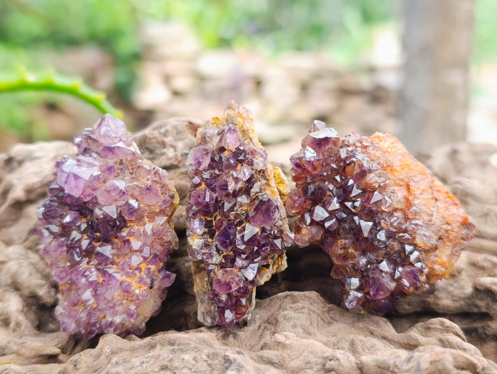 Natural Dark Purple Amethyst Quartz Crystal Plates x 35 From Boekenhouthoek, South Africa - Toprock Gemstones and Minerals 