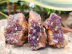 Natural Dark Purple Amethyst Quartz Crystal Plates x 35 From Boekenhouthoek, South Africa - Toprock Gemstones and Minerals 
