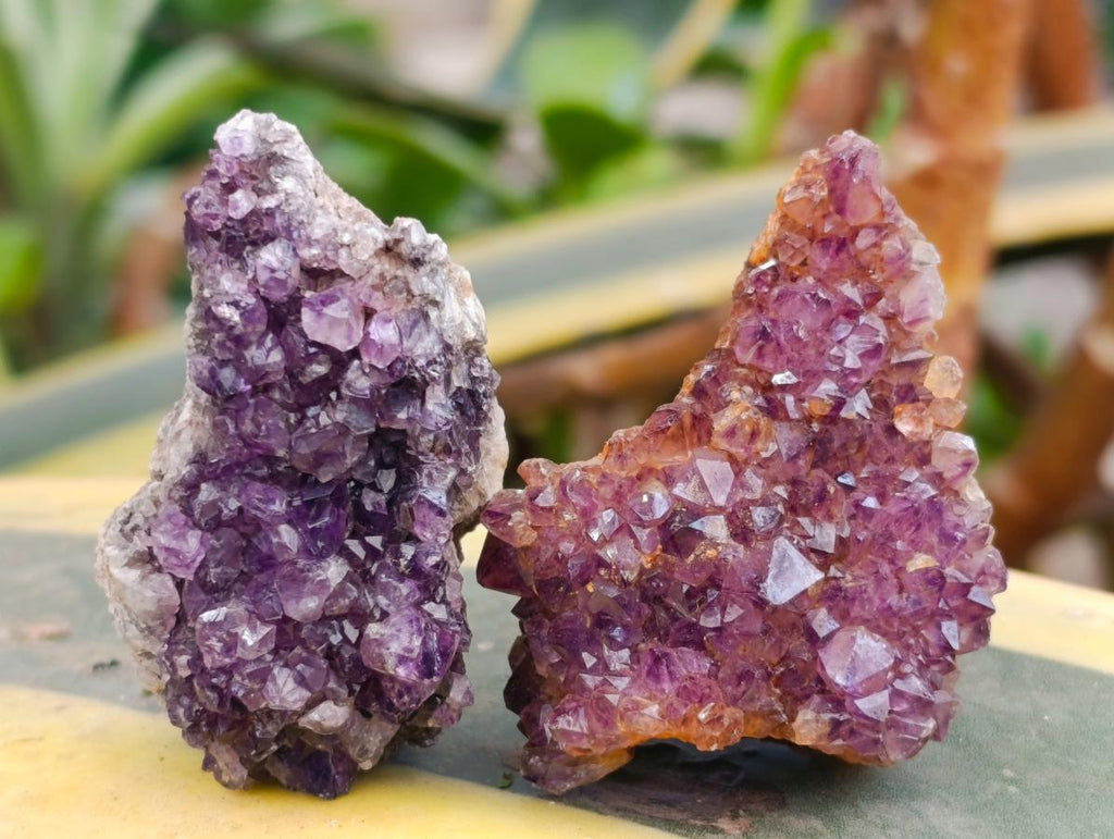 Natural Dark Purple Amethyst Quartz Crystal Plates x 35 From Boekenhouthoek, South Africa - Toprock Gemstones and Minerals 