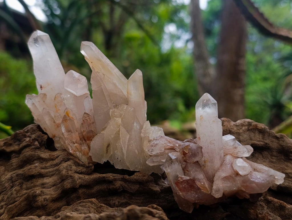 Natural Mixed Quartz Crystal Clusters x 24 From Madagascar - Toprock Gemstones and Minerals 