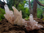 Natural Mixed Quartz Crystal Clusters x 24 From Madagascar - Toprock Gemstones and Minerals 