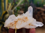 Natural Mixed Quartz Crystal Clusters x 24 From Madagascar - Toprock Gemstones and Minerals 
