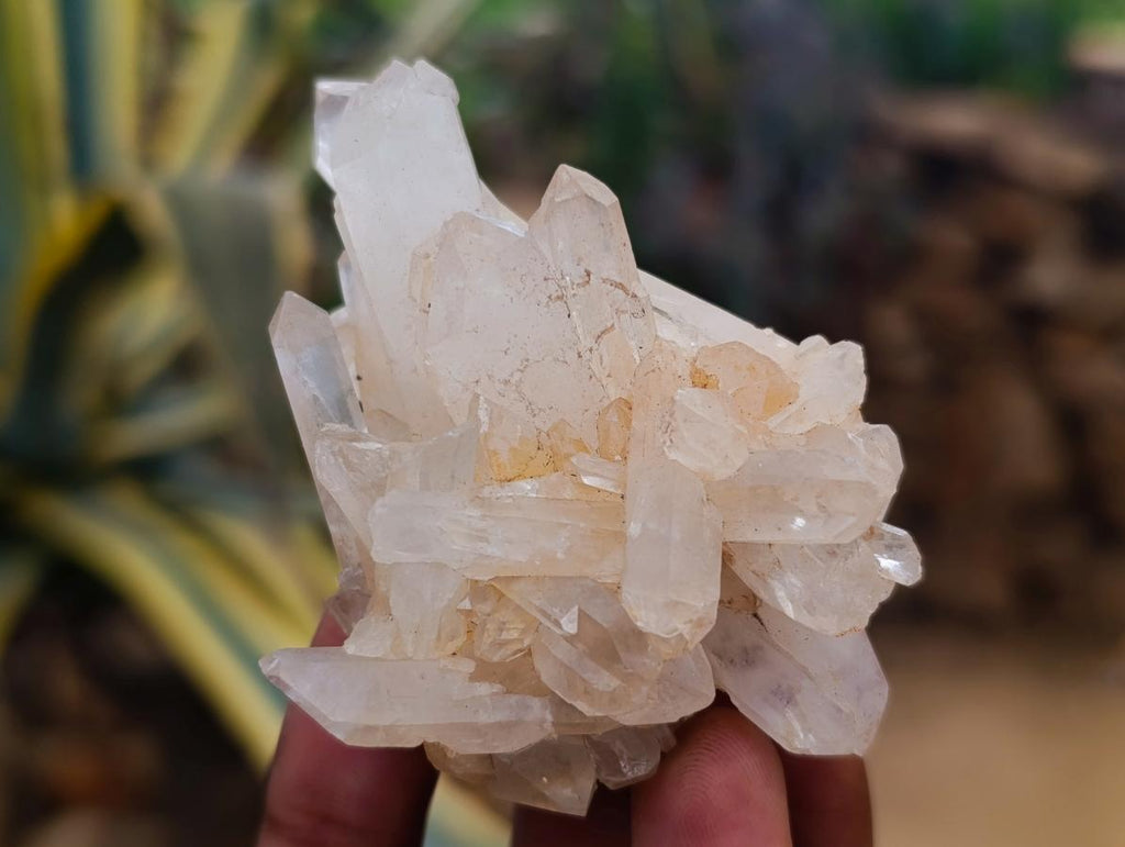 Natural Mixed Quartz Crystal Clusters x 24 From Madagascar - Toprock Gemstones and Minerals 
