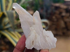 Natural Mixed Quartz Crystal Clusters x 24 From Madagascar - Toprock Gemstones and Minerals 