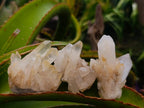 Natural Mixed Quartz Crystal Clusters x 24 From Madagascar - Toprock Gemstones and Minerals 