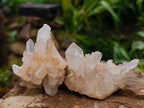 Natural Mixed Quartz Crystal Clusters x 24 From Madagascar - Toprock Gemstones and Minerals 