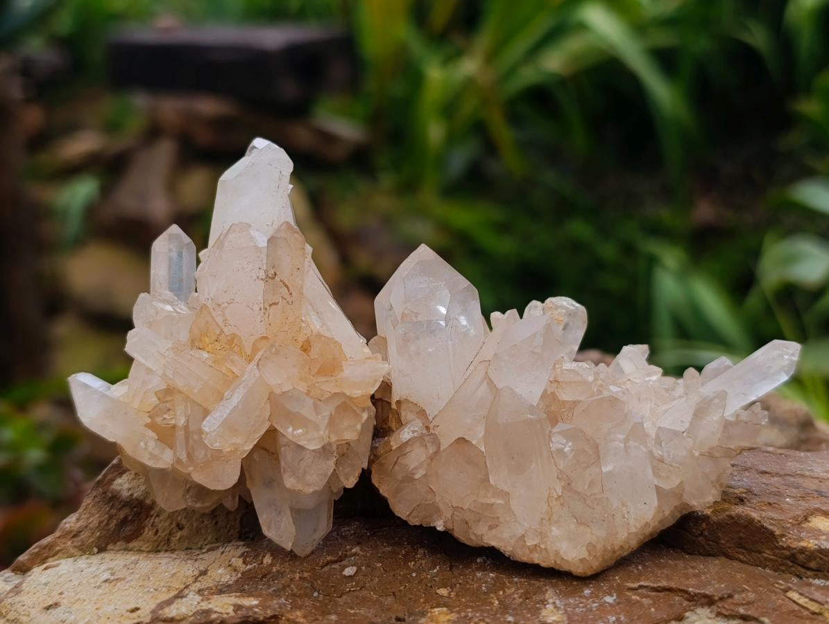 Natural Mixed Quartz Crystal Clusters x 24 From Madagascar - Toprock Gemstones and Minerals 