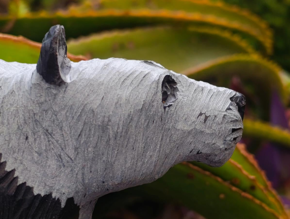 Handmade Large Panda Soapstone Carving x 1 From Zimbabwe - Toprock Gemstones and Minerals 