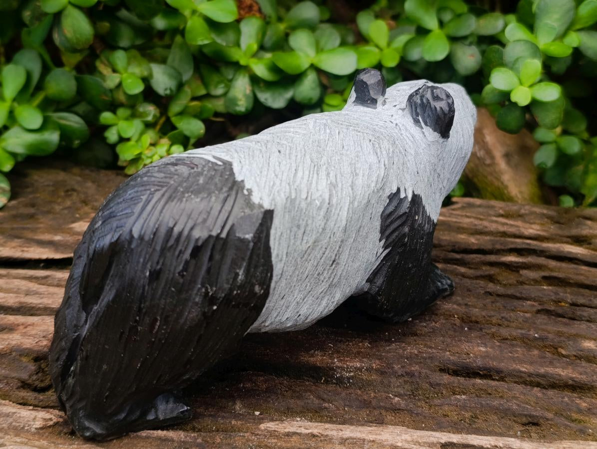 Handmade Large Panda Soapstone Carving x 1 From Zimbabwe - Toprock Gemstones and Minerals 