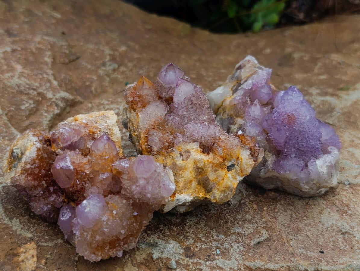 Natural Amethyst Spirit Clusters x 12 From Boekenhouthoek, South Africa - Toprock Gemstones and Minerals 