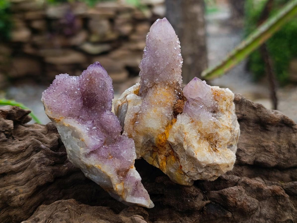 Natural Amethyst Spirit Clusters x 12 From Boekenhouthoek, South Africa - Toprock Gemstones and Minerals 