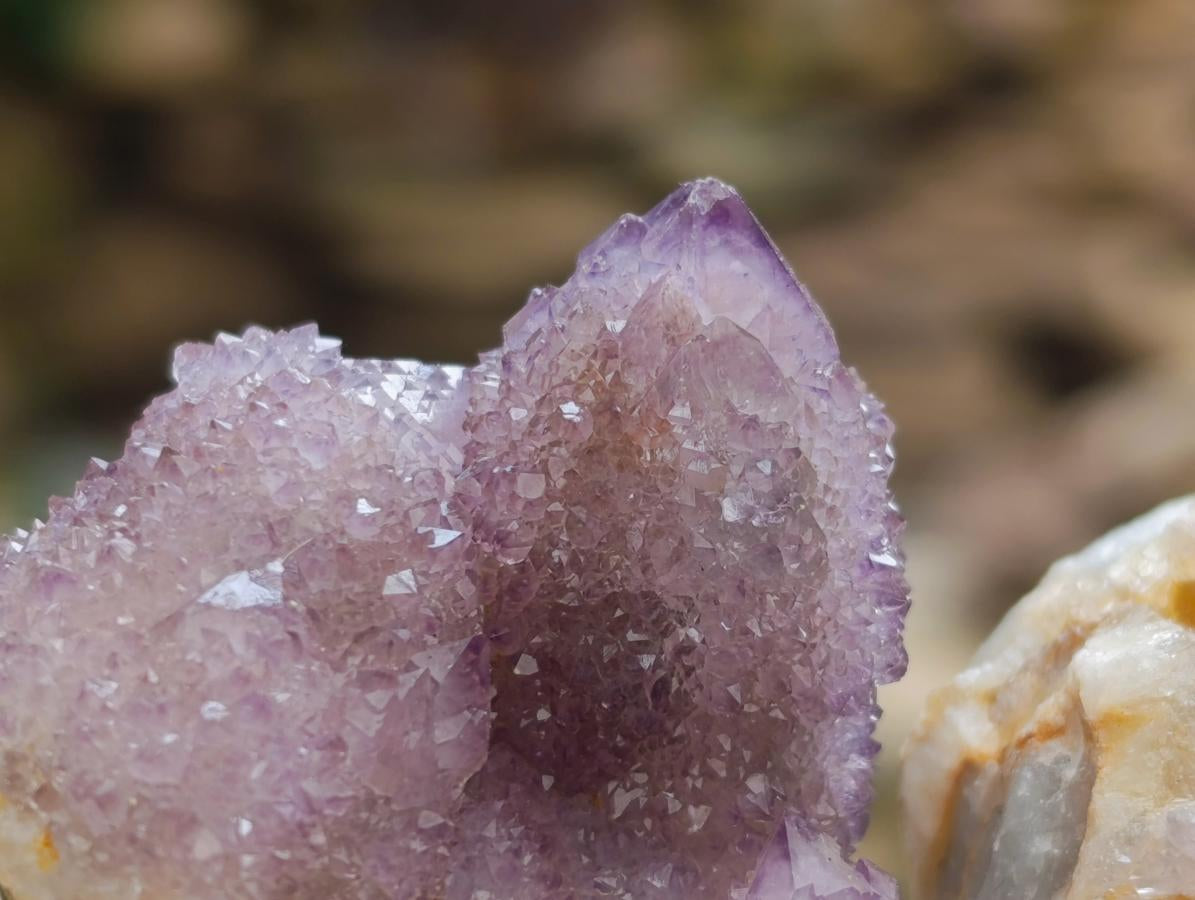 Natural Amethyst Spirit Clusters x 12 From Boekenhouthoek, South Africa - Toprock Gemstones and Minerals 