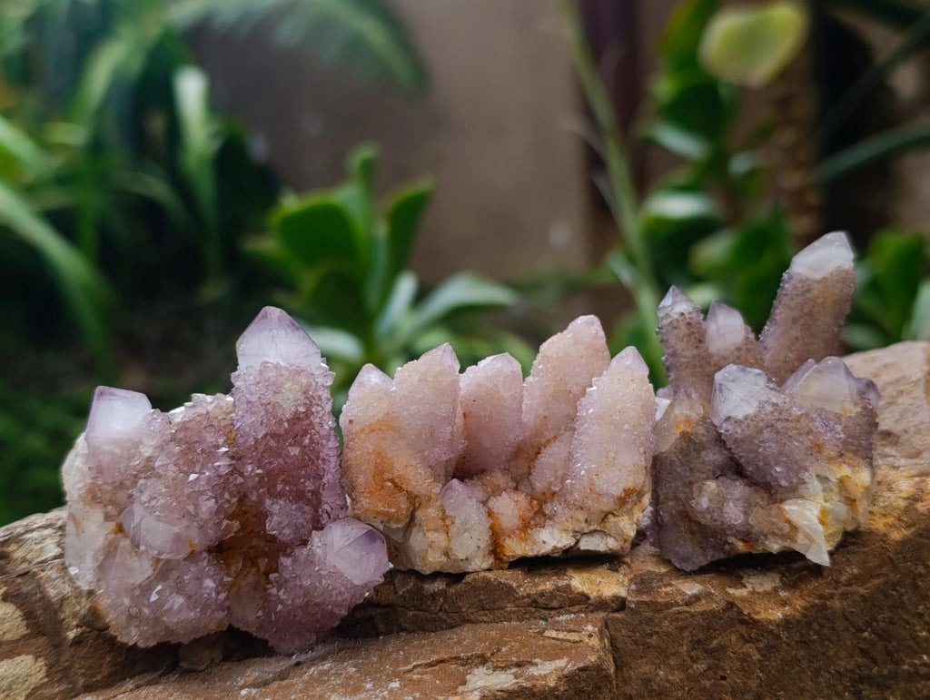 Natural Amethyst Spirit Clusters x 12 From Boekenhouthoek, South Africa - Toprock Gemstones and Minerals 