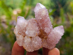 Natural Amethyst Spirit Clusters x 12 From Boekenhouthoek, South Africa - Toprock Gemstones and Minerals 