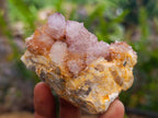 Natural Amethyst Spirit Clusters x 12 From Boekenhouthoek, South Africa - Toprock Gemstones and Minerals 