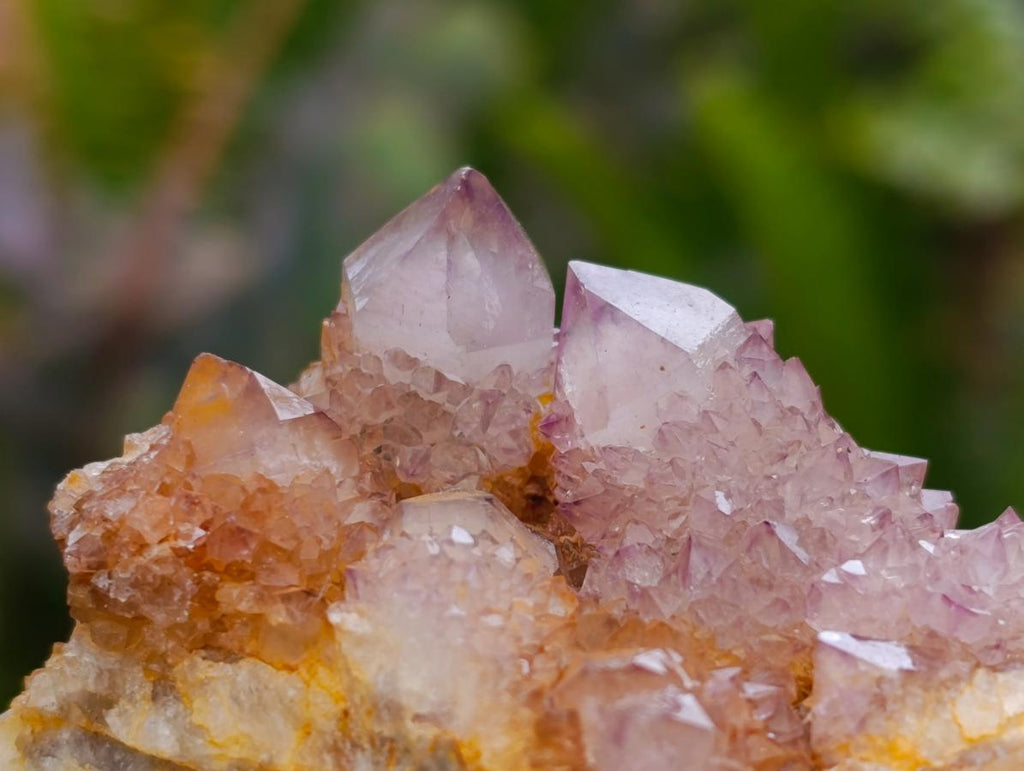 Natural Amethyst Spirit Clusters x 12 From Boekenhouthoek, South Africa - Toprock Gemstones and Minerals 