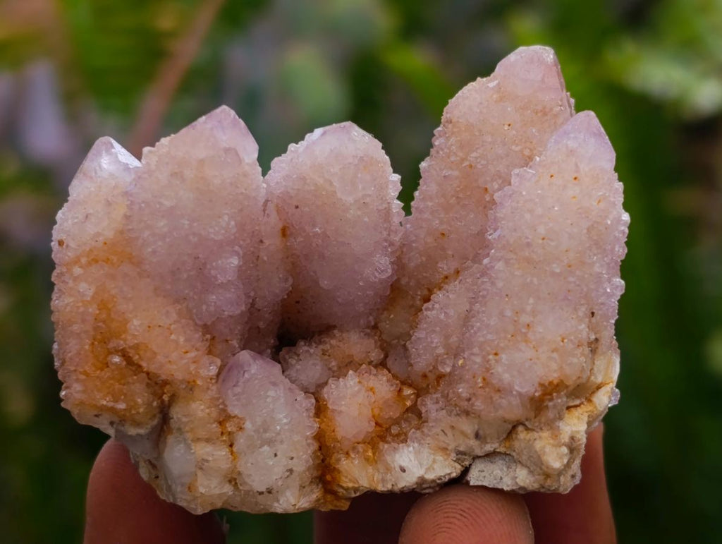 Natural Amethyst Spirit Clusters x 12 From Boekenhouthoek, South Africa - Toprock Gemstones and Minerals 