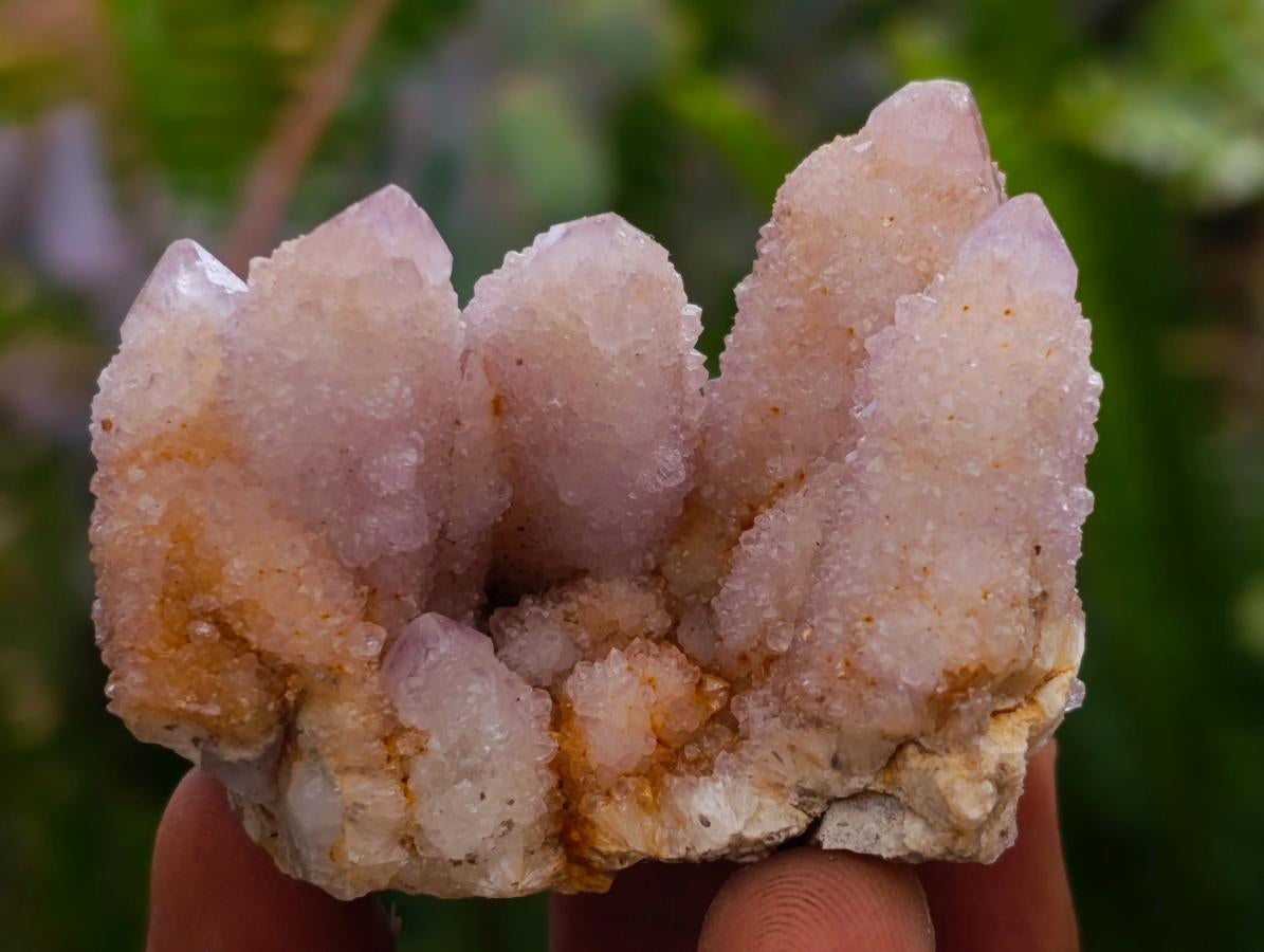Natural Amethyst Spirit Clusters x 12 From Boekenhouthoek, South Africa - Toprock Gemstones and Minerals 