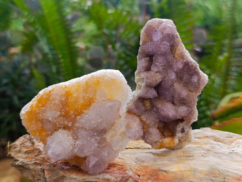 Natural Amethyst Spirit Clusters x 12 From Boekenhouthoek, South Africa - Toprock Gemstones and Minerals 