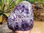 Polished Large Dark Purple Chevron Amethyst Standing Free Form x 1 From Zambia - Toprock Gemstones and Minerals 