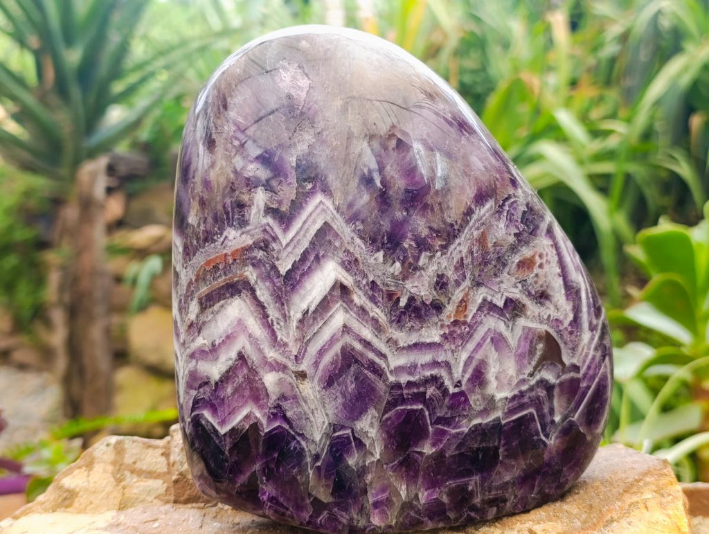 Polished Large Dark Purple Chevron Amethyst Standing Free Form x 1 From Zambia - Toprock Gemstones and Minerals 