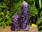 Polished Lepidolite Display Crystals x 2 From Ambatondrazaka, Madagascar - Toprock Gemstones and Minerals 