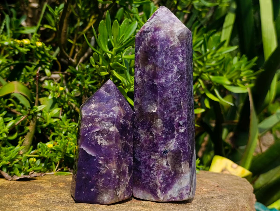 Polished Lepidolite Display Crystals x 2 From Ambatondrazaka, Madagascar - Toprock Gemstones and Minerals 