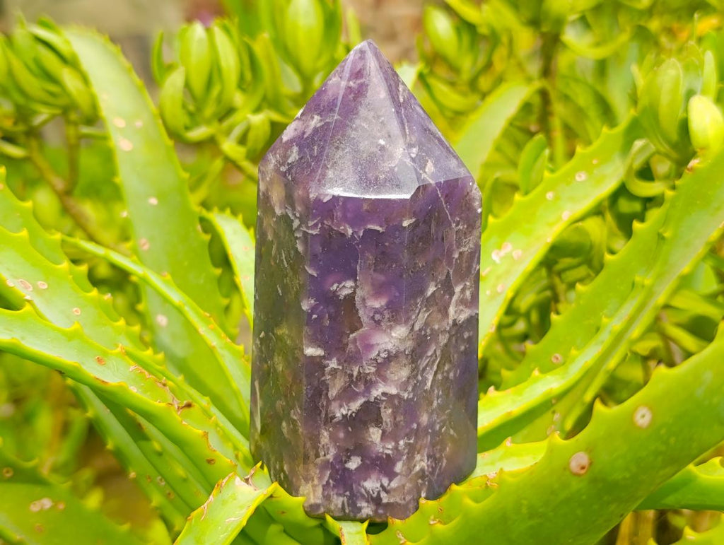 Polished Lepidolite Display Crystals x 2 From Ambatondrazaka, Madagascar - Toprock Gemstones and Minerals 