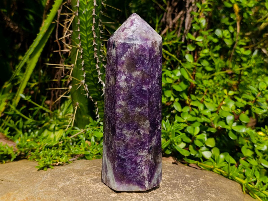 Polished Lepidolite Display Crystals x 2 From Ambatondrazaka, Madagascar - Toprock Gemstones and Minerals 