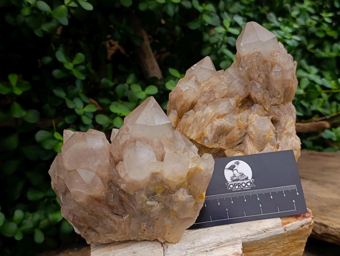 Natural Smokey Phantom Quartz Clusters x 2 From Luena, Congo - Toprock Gemstones and Minerals 