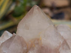 Natural Smokey Phantom Quartz Clusters x 2 From Luena, Congo - Toprock Gemstones and Minerals 