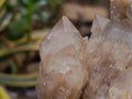 Natural Smokey Phantom Quartz Clusters x 2 From Luena, Congo - Toprock Gemstones and Minerals 
