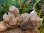 Natural Smokey Phantom Quartz Clusters x 2 From Luena, Congo - Toprock Gemstones and Minerals 