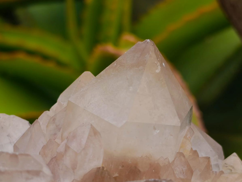 Natural Smokey Phantom Quartz Clusters x 2 From Luena, Congo - Toprock Gemstones and Minerals 