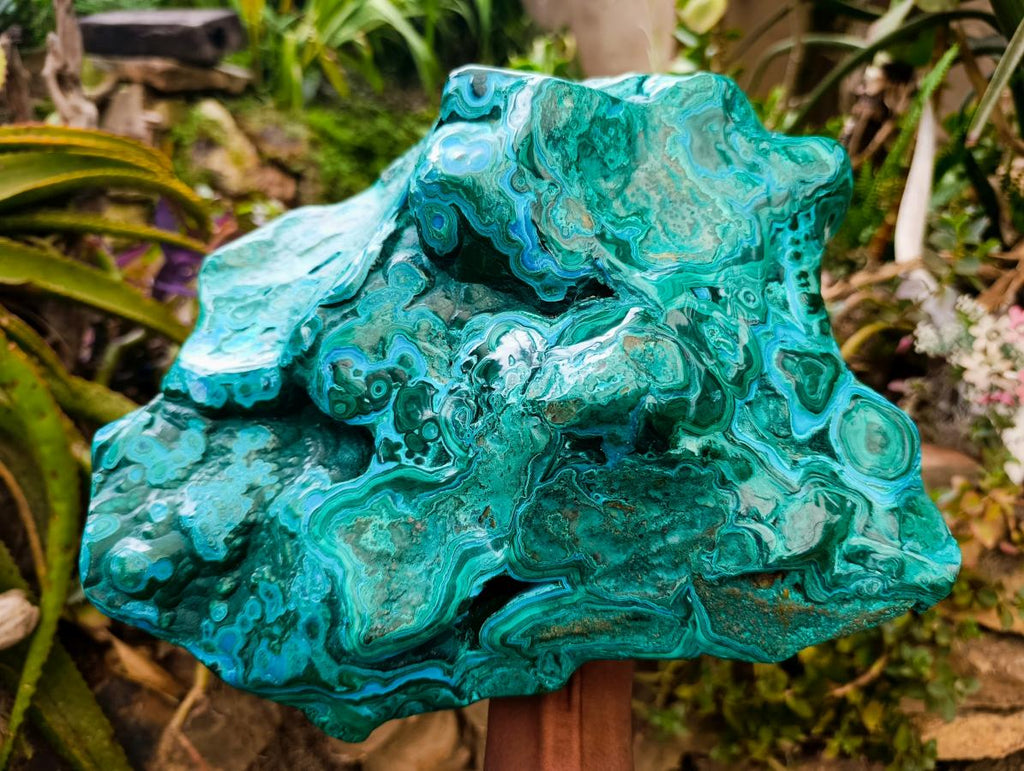 Polished XL Malacolla Display Free Form x 1 From Kulukuluku, Congo - Toprock Gemstones and Minerals 