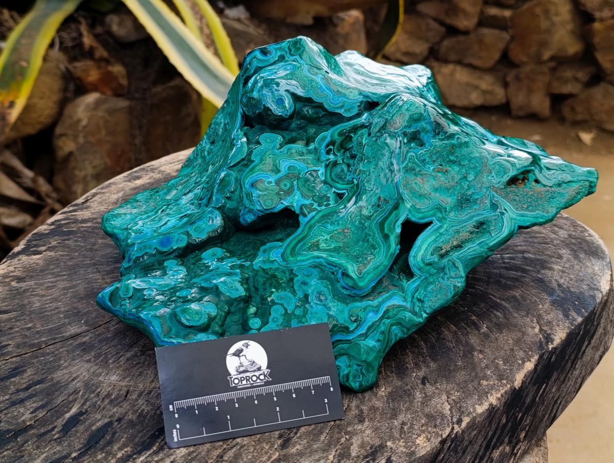 Polished XL Malacolla Display Free Form x 1 From Kulukuluku, Congo - Toprock Gemstones and Minerals 