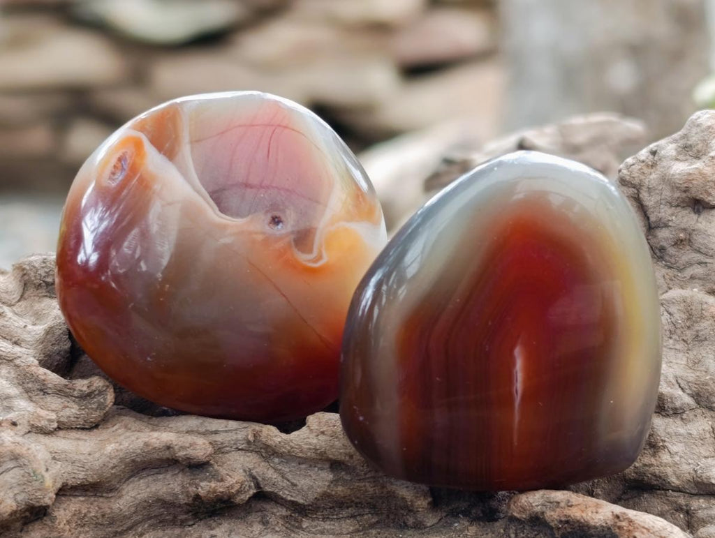Polished Red Shashe River Agate Galets x 70 From Shashe River, Zimbabwe - Toprock Gemstones and Minerals 