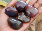 Polished Red Shashe River Agate Galets x 70 From Shashe River, Zimbabwe - Toprock Gemstones and Minerals 