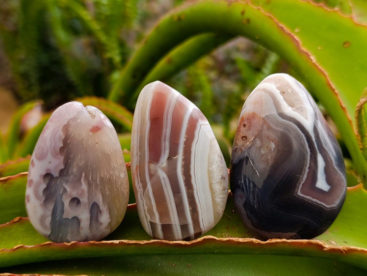 Polished Red Shashe River Agate Galets x 70 From Shashe River, Zimbabwe - Toprock Gemstones and Minerals 