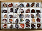 Polished Red Shashe River Agate Galets x 70 From Shashe River, Zimbabwe - Toprock Gemstones and Minerals 