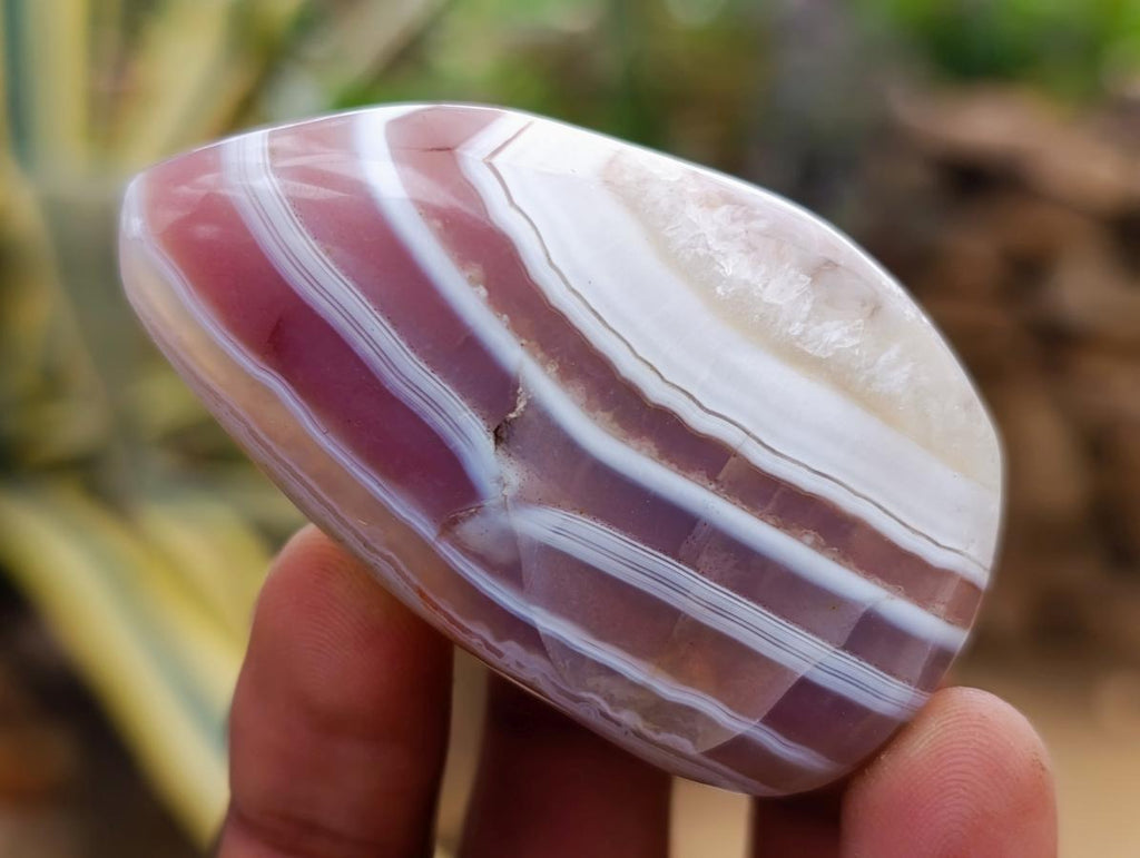 Polished Red Shashe River Agate Galets x 70 From Shashe River, Zimbabwe - Toprock Gemstones and Minerals 