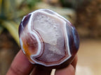 Polished Red Shashe River Agate Galets x 70 From Shashe River, Zimbabwe - Toprock Gemstones and Minerals 